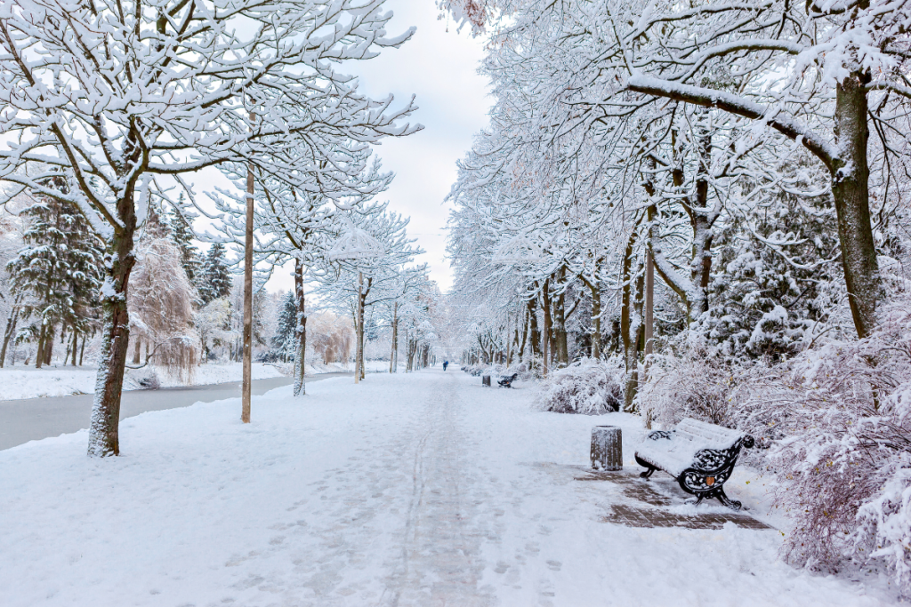Toronto Winter - Springbank Mechanical Toronto HVAC Company