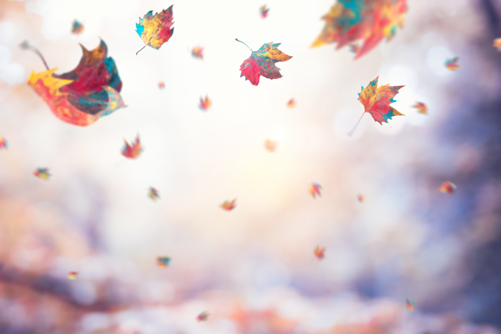 Fall Weather Indicating Switch HVAC System From Cooling To Heating - Springbank Mechanical Toronto Commercial HVAC Company